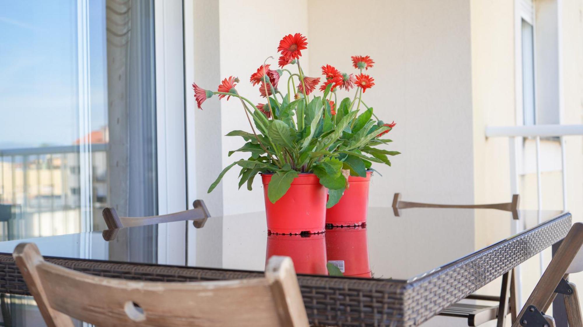 Apartament Lo Cor Del Delta Sant Jaume d'Enveja Extérieur photo